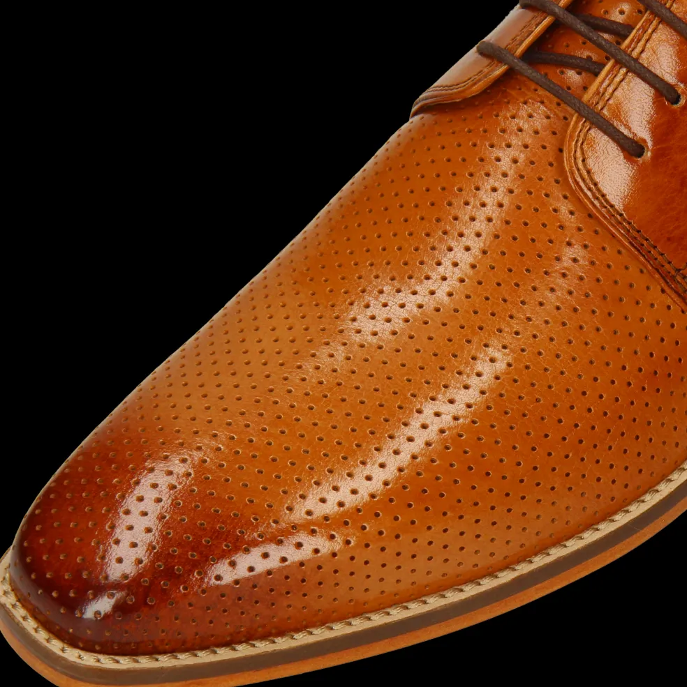 Alex 1-Melvin & Hamilton Sale