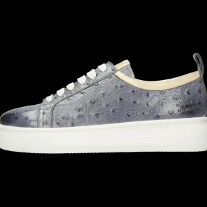 Amber 6-Melvin & Hamilton Discount