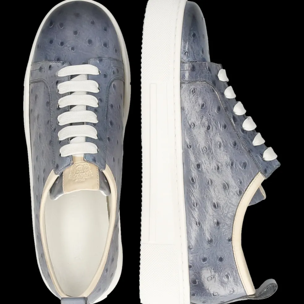 Amber 6-Melvin & Hamilton Discount