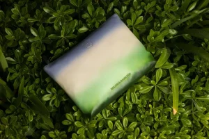 Frisco-Melvin & Hamilton Online