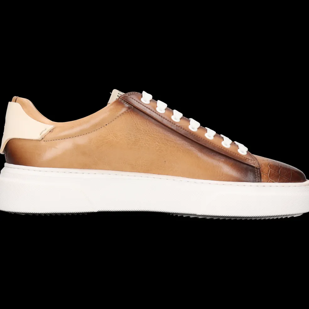 Harvey 92-Melvin & Hamilton Fashion