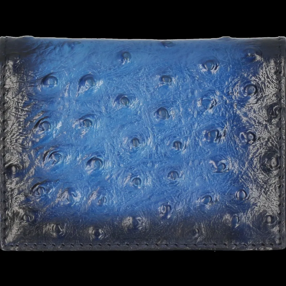 Nick-Melvin & Hamilton Hot