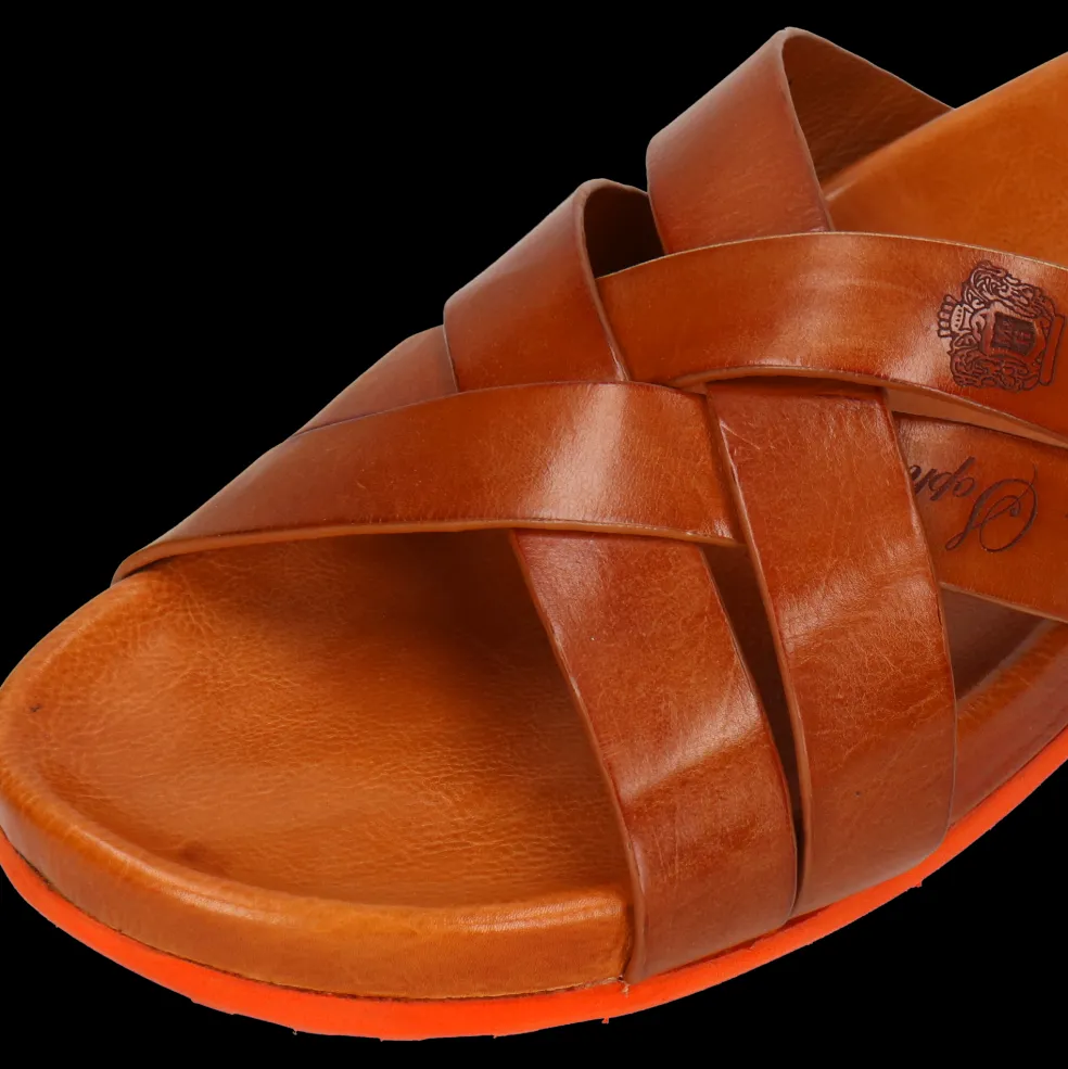 Robert 37-Melvin & Hamilton Clearance